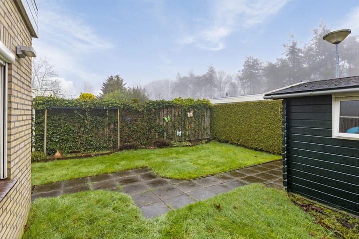 Foto 29 van Albert Schweitzerplantsoen 20