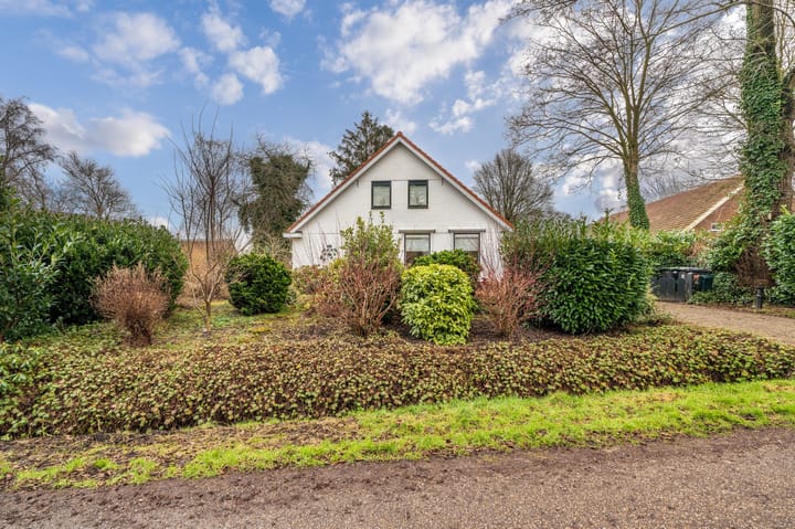 Foto 7 van Scheidingsweg 5