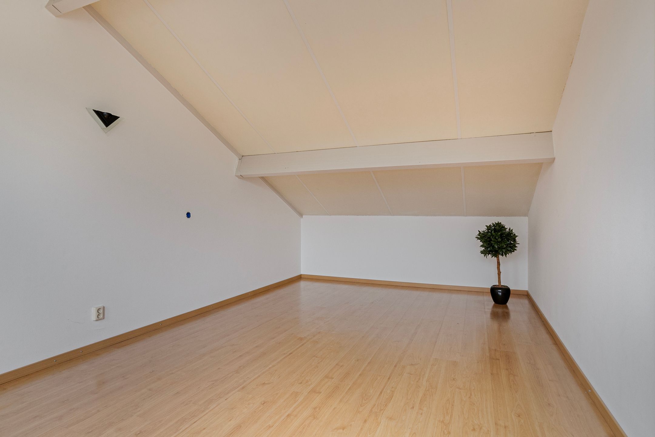 Photo 30 of Parklaan 12