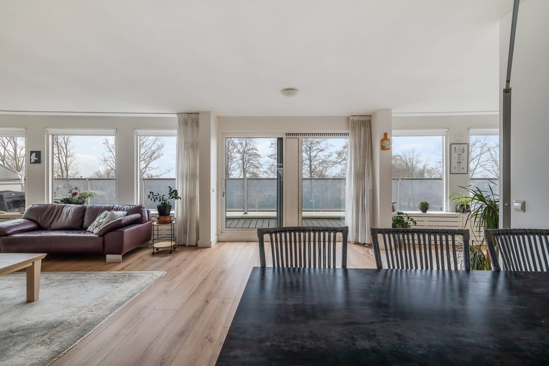 Photo 7 of Omnium 51