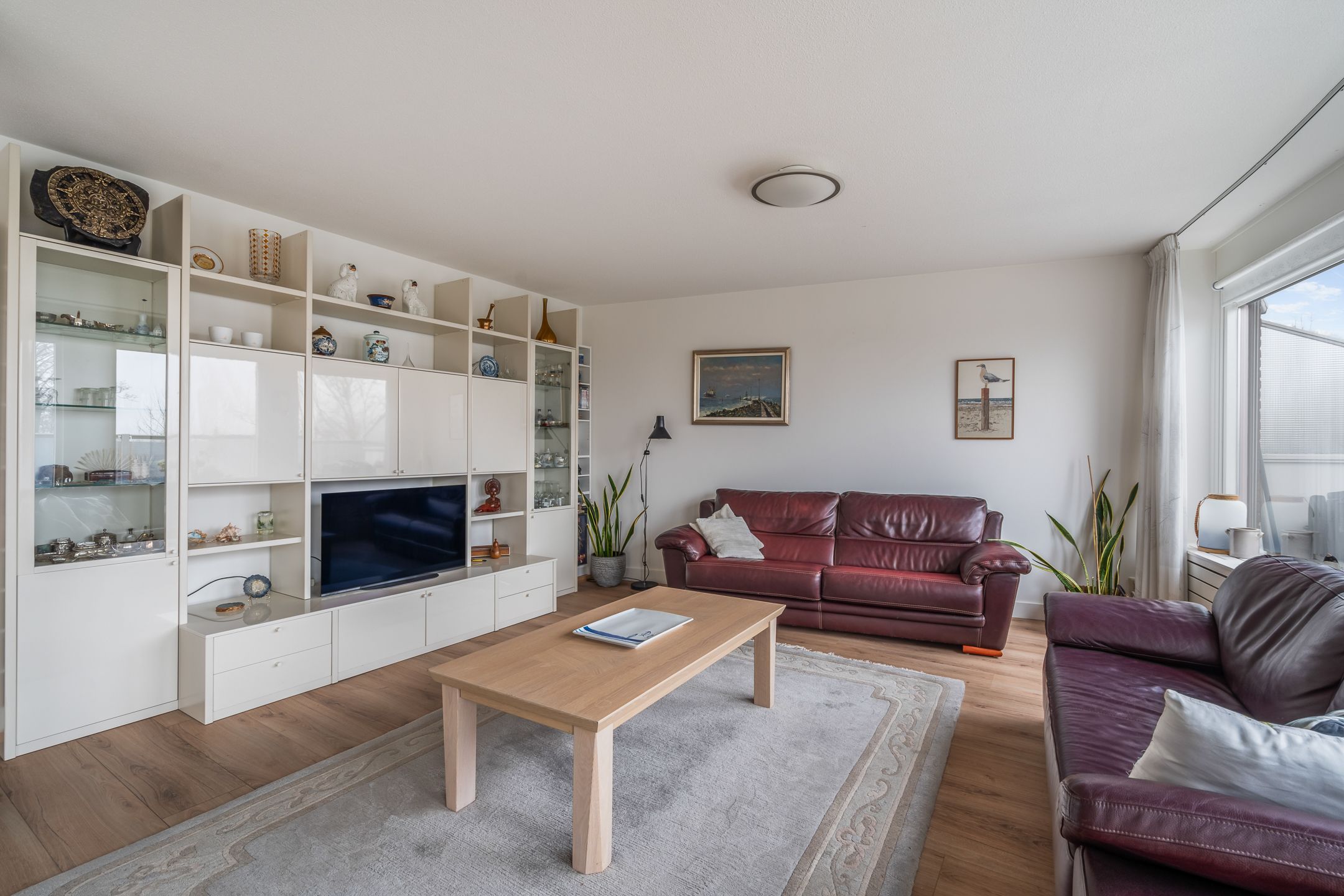 Photo 9 of Omnium 51