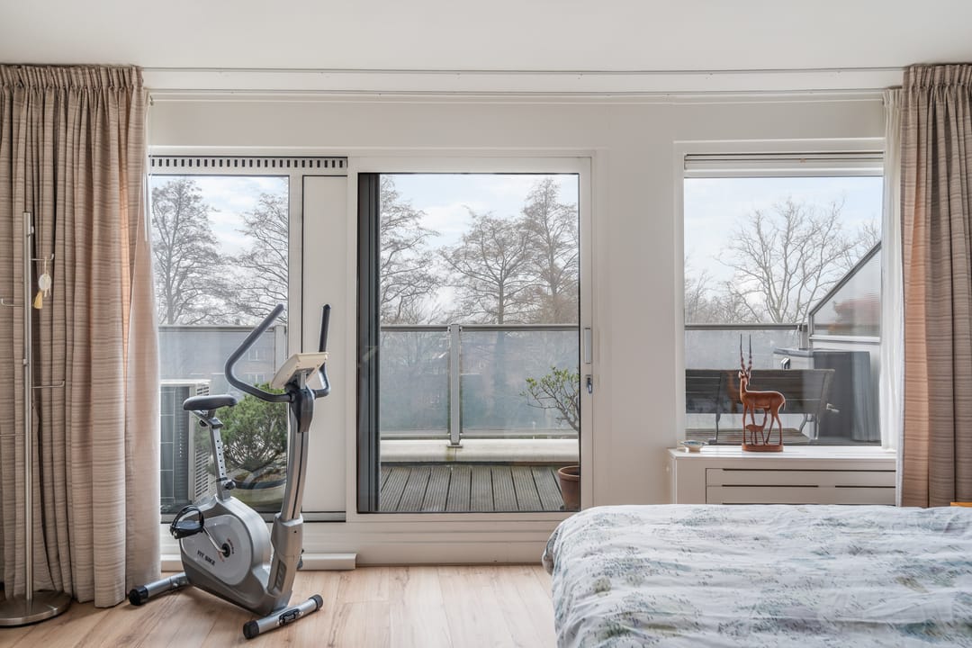 Photo 17 of Omnium 51