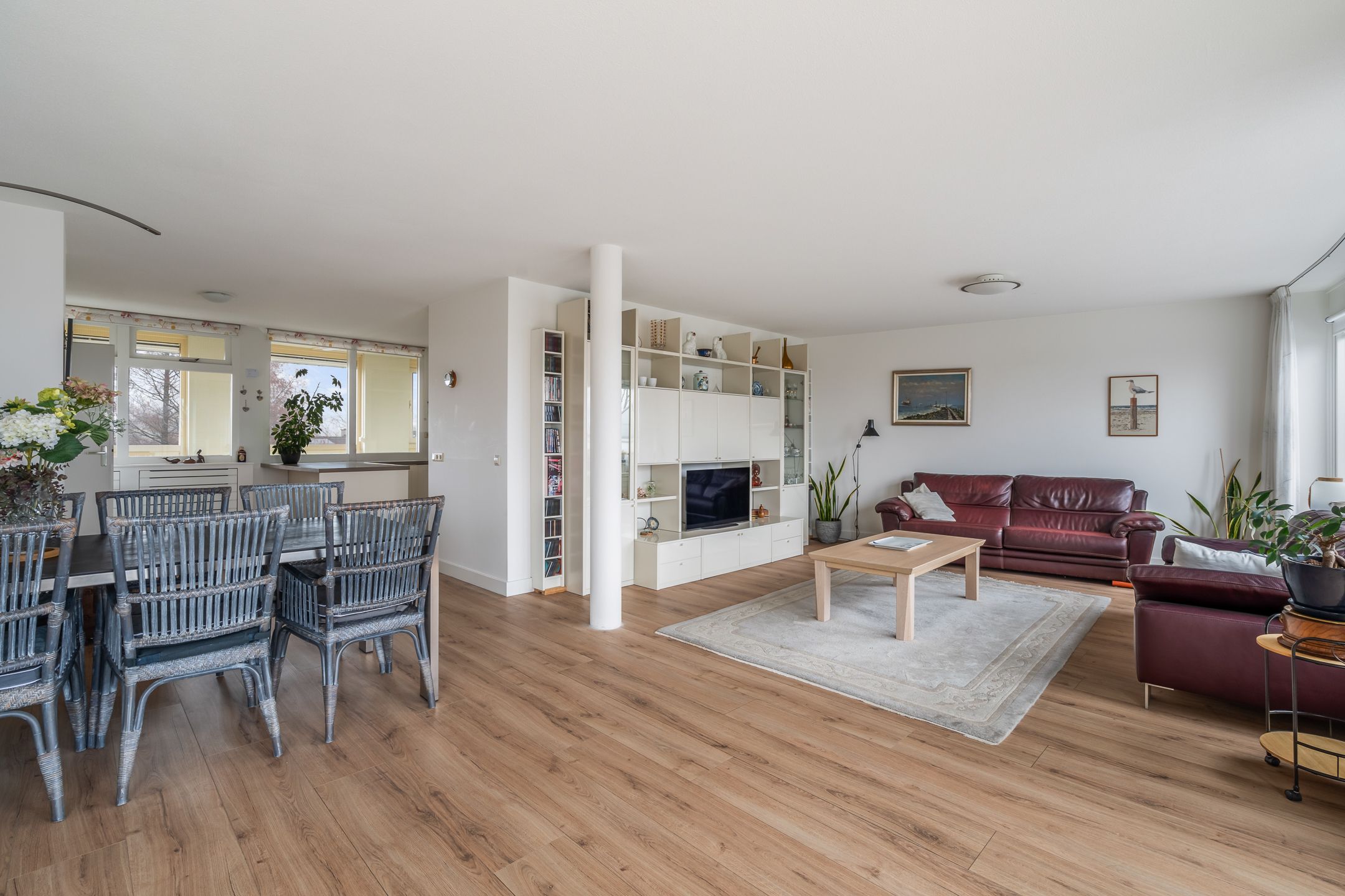 Photo 24 of Omnium 51