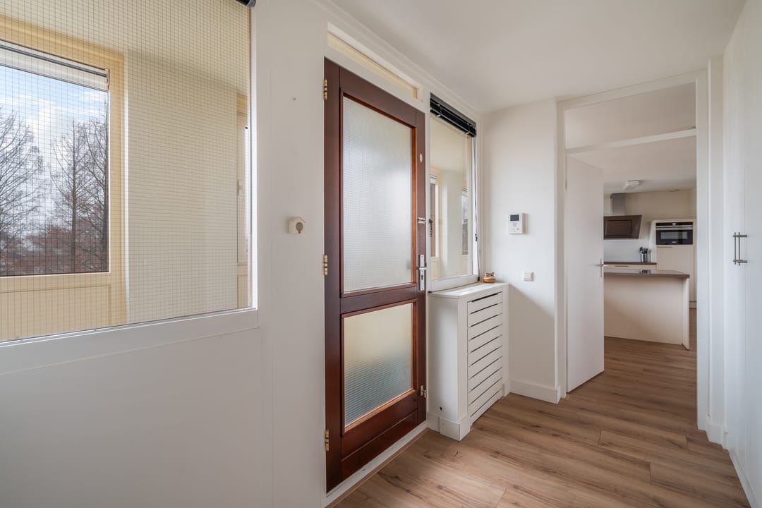 Photo 41 of Omnium 51