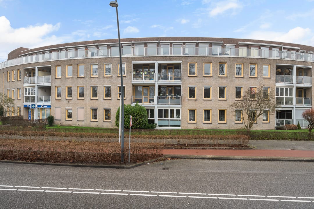 Photo 52 of Omnium 51