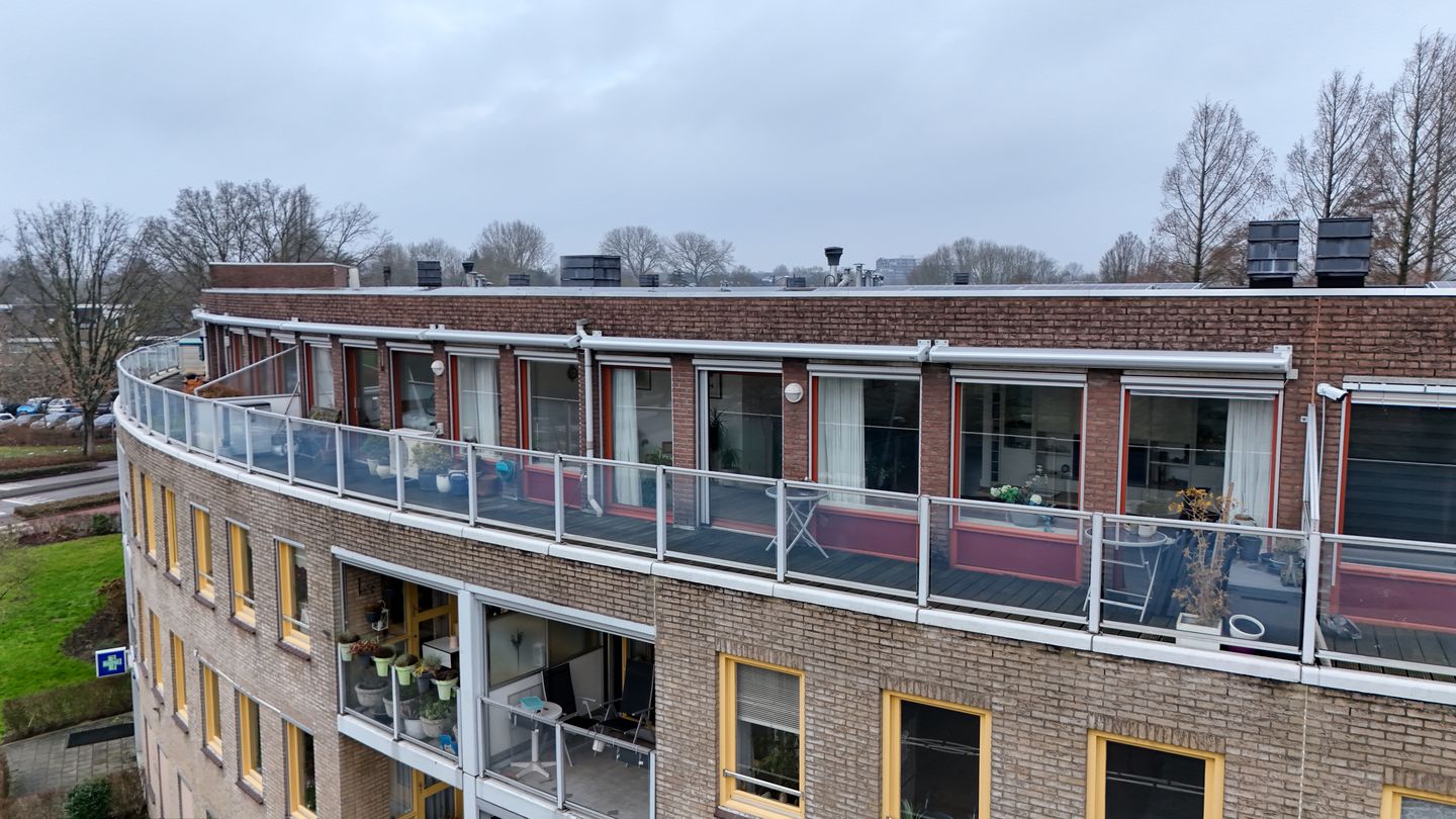 Photo 55 of Omnium 51