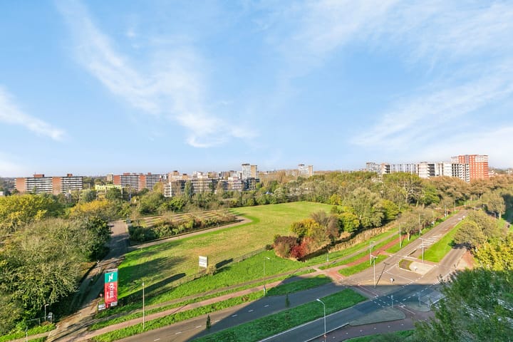 Foto 3 van Stadhoudersring 776