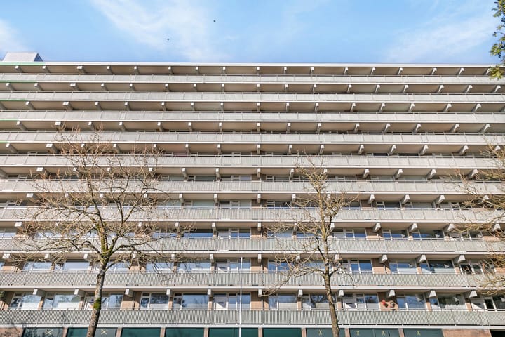 Foto 38 van Stadhoudersring 776