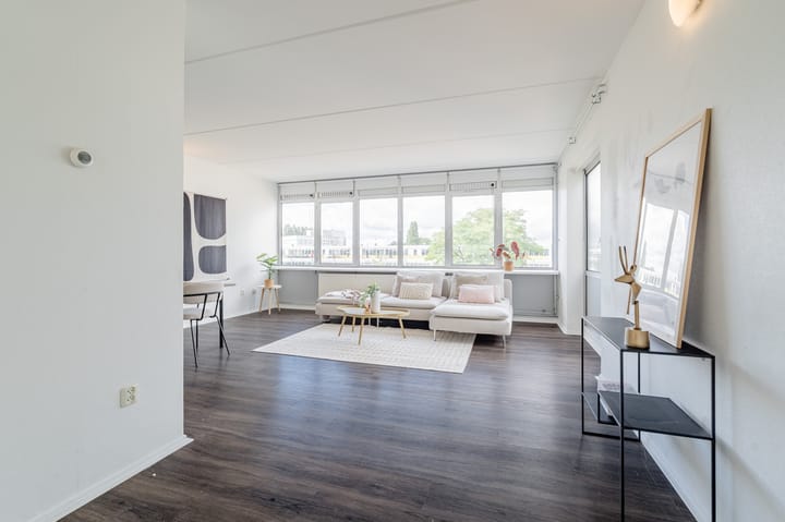 Foto 6 van Ravenswaaipad 52