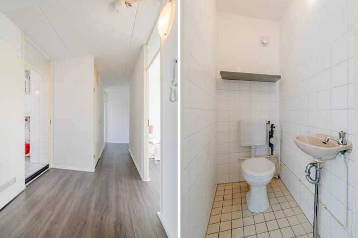 Foto 31 van Ravenswaaipad 52