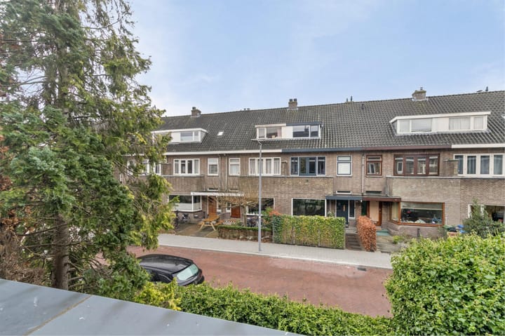 Foto 42 van Ribeslaan 21