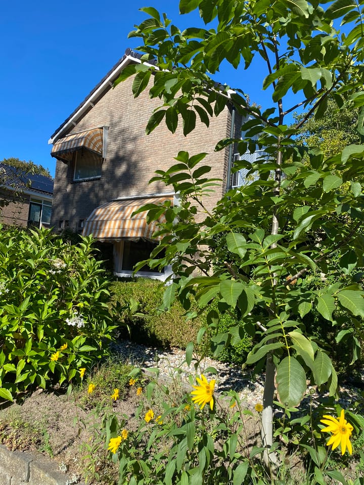 Foto 50 van 't Harde 34