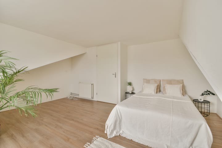 Foto 25 van De Hoopstraat 65