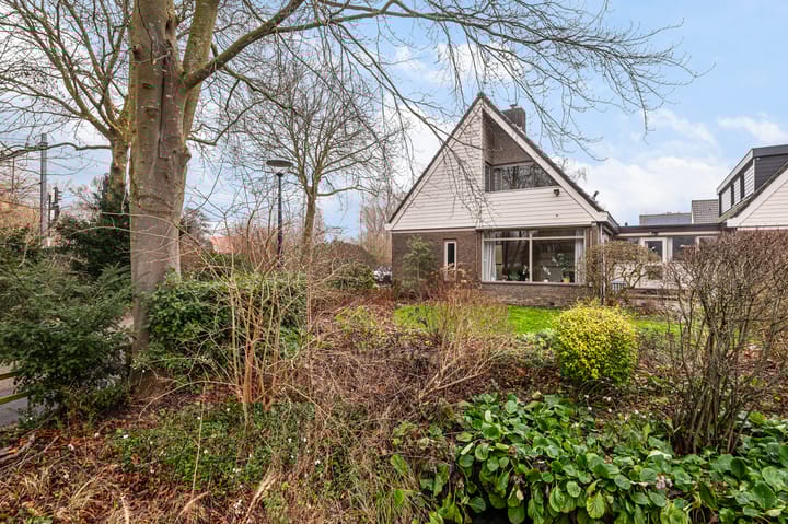 Foto 19 van Nassau Dillenburgstraat 1