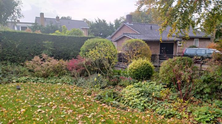 Foto 31 van Nassau Dillenburgstraat 1