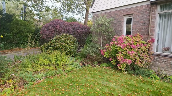 Foto 32 van Nassau Dillenburgstraat 1