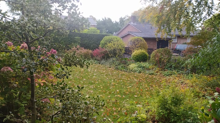 Foto 33 van Nassau Dillenburgstraat 1