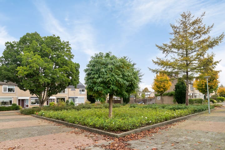 Foto 27 van Abeelstraat 28