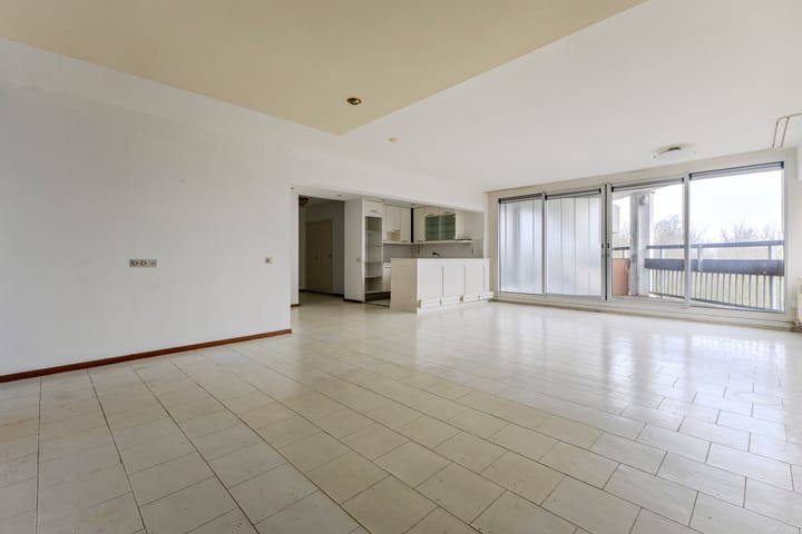 Foto 2 van Gouden Leeuw 433