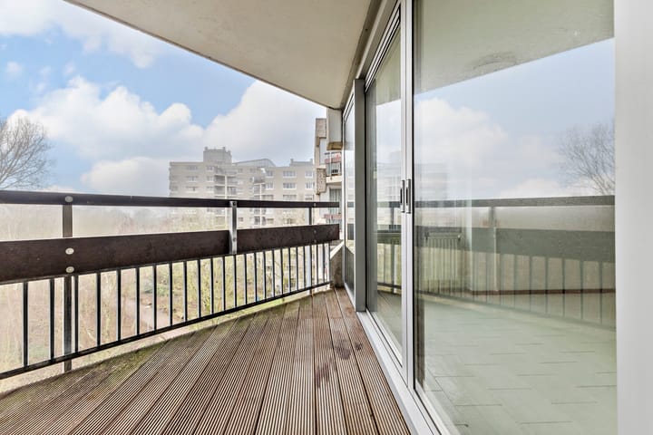 Foto 3 van Gouden Leeuw 433