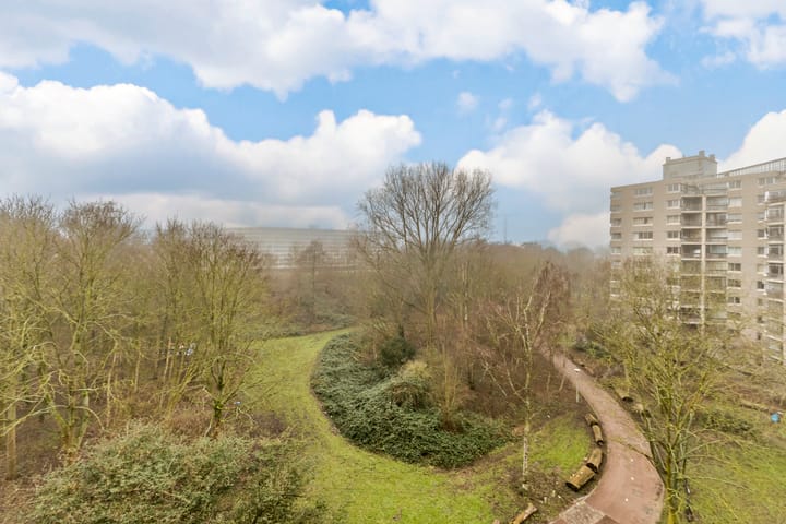 Foto 4 van Gouden Leeuw 433