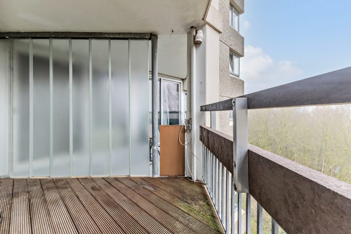 Foto 9 van Gouden Leeuw 433