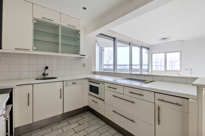 Foto 12 van Gouden Leeuw 433