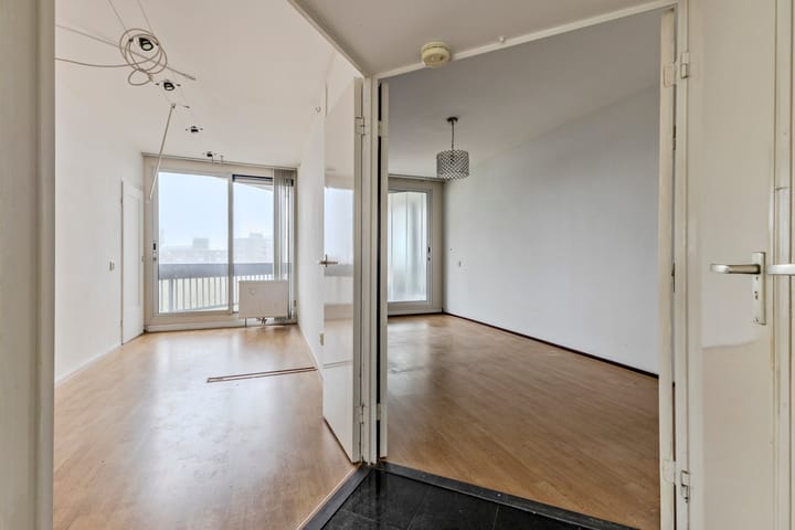 Foto 21 van Gouden Leeuw 433