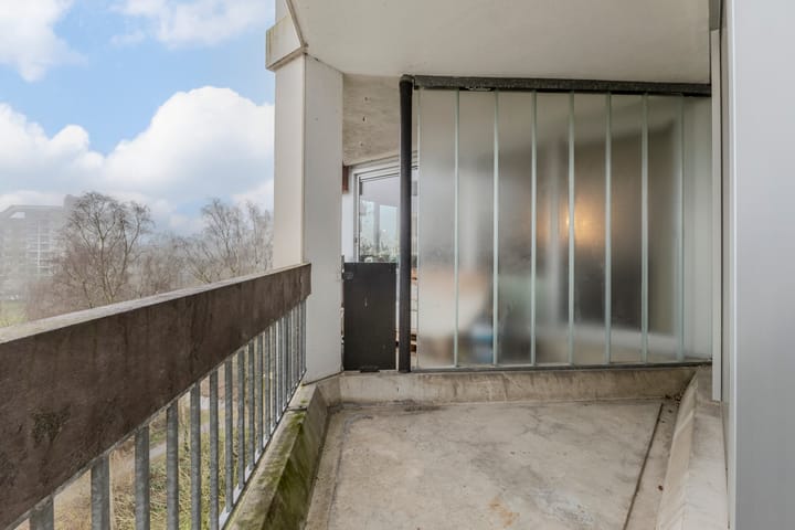 Foto 25 van Gouden Leeuw 433