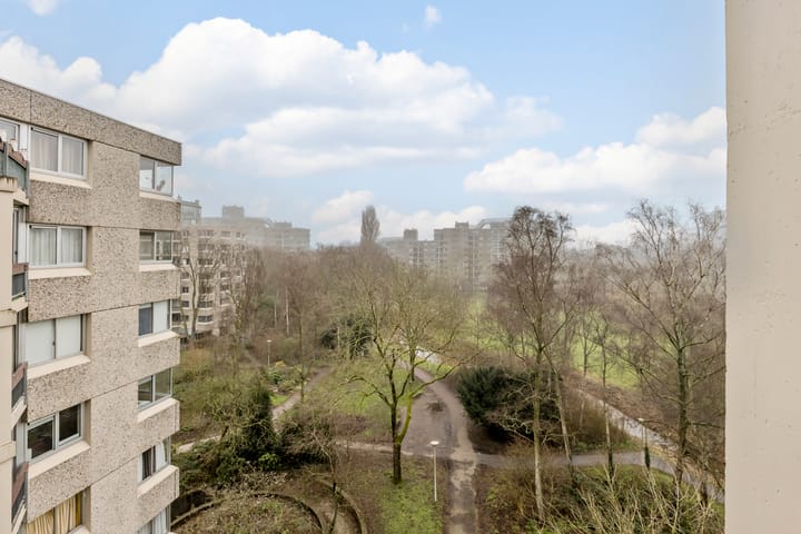 Foto 26 van Gouden Leeuw 433