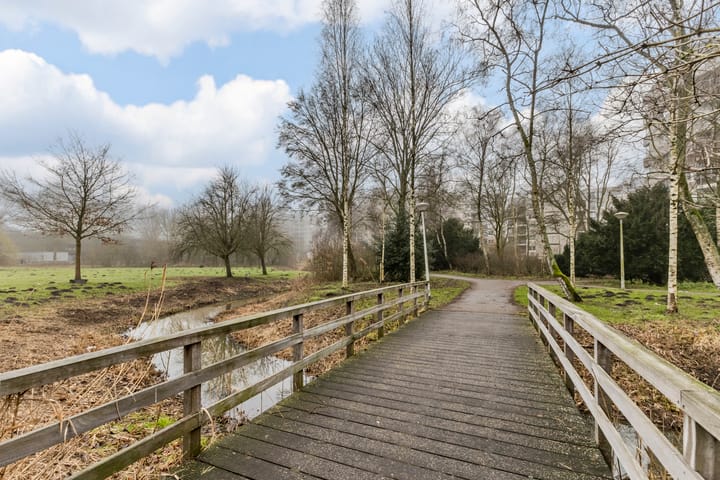 Foto 29 van Gouden Leeuw 433