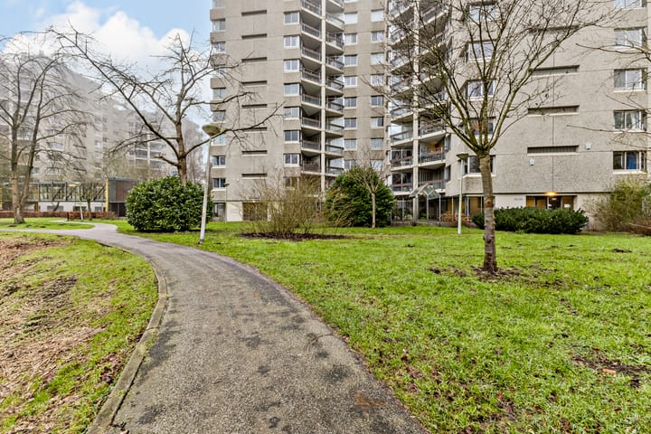 Foto 31 van Gouden Leeuw 433