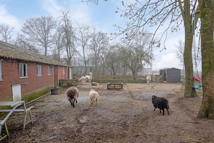 Foto 40 van Hulsdonkstraat 19