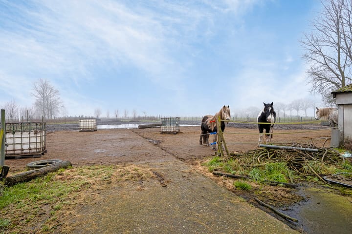 Foto 41 van Hulsdonkstraat 19