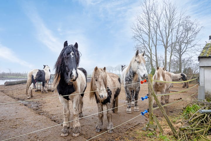 Foto 42 van Hulsdonkstraat 19