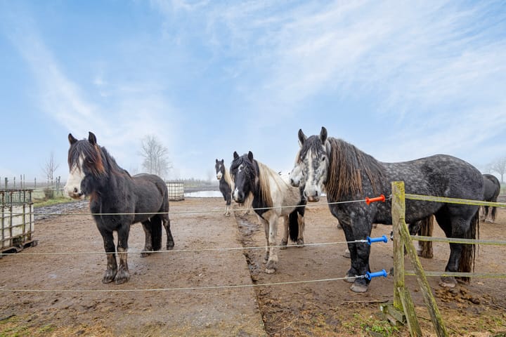 Foto 43 van Hulsdonkstraat 19
