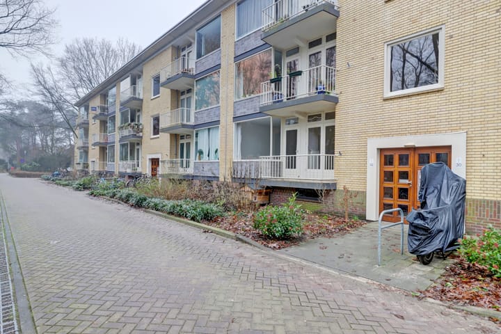 Foto 20 van Prinses Marijkelaan 32