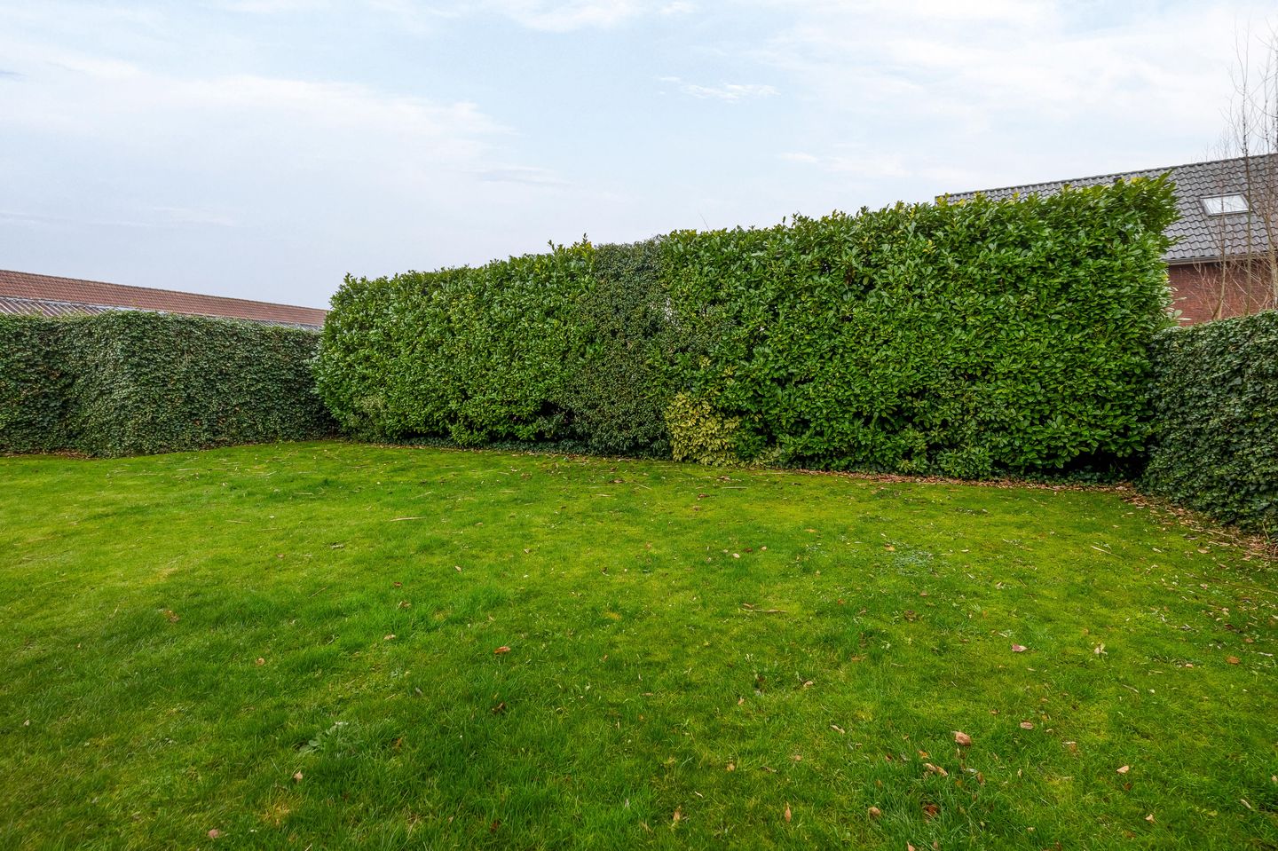 Photo 29 of Knibbelweg 8