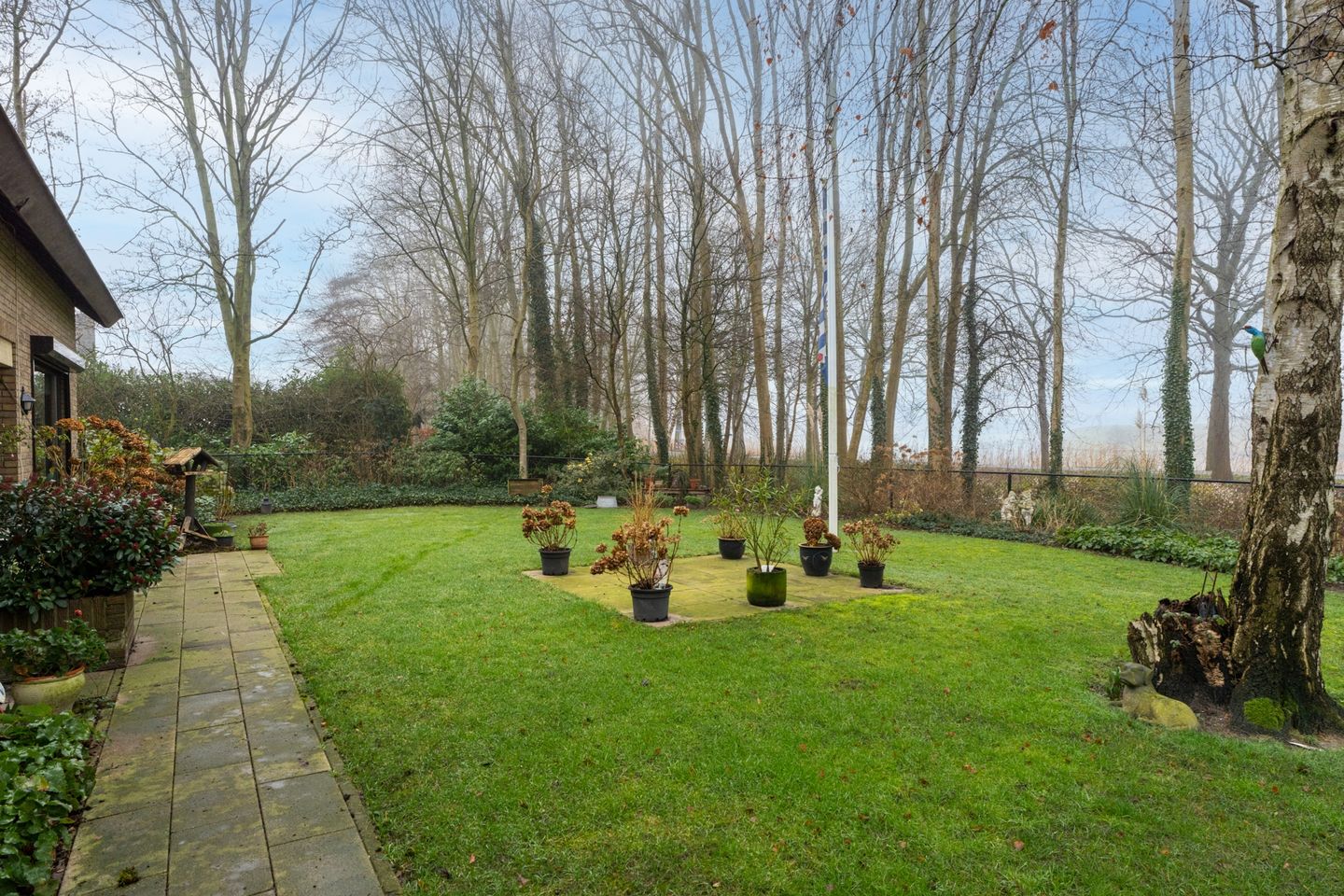 Foto 4 van Grotestraat 6