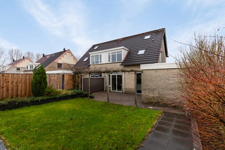 Foto 3 van Waterlelie 11