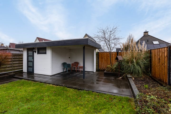 Foto 30 van Waterlelie 11