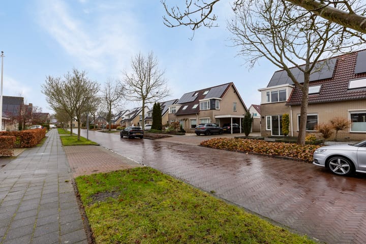 Foto 31 van Waterlelie 11