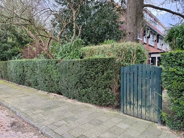 Foto 64 van Teylingerhorstlaan 37