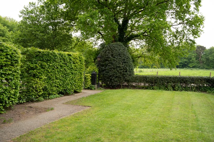 Foto 3 van Melkweg 5