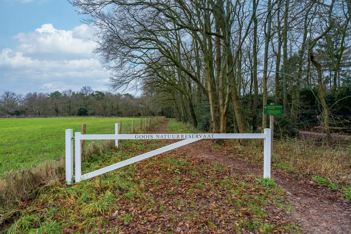 Foto 5 van Melkweg 5