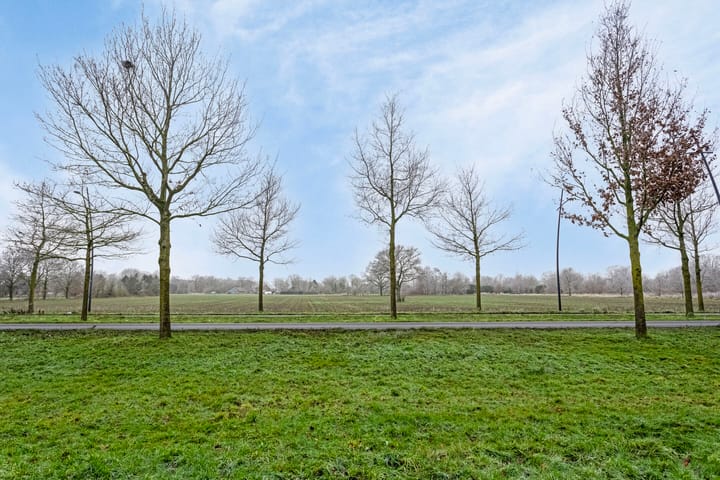 Foto 34 van Stalreep 66