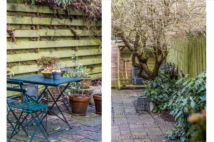 Foto 11 van Lijsterbeslaan 69