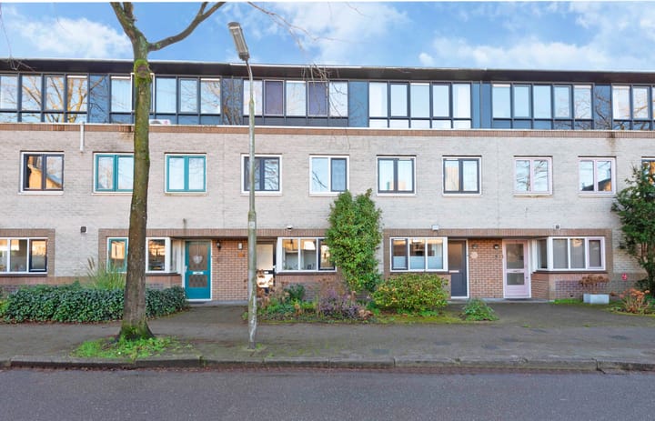 Foto 1 van Atlasvlinder 100