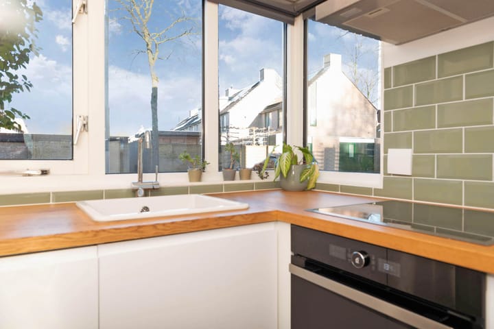 Foto 5 van Atlasvlinder 100