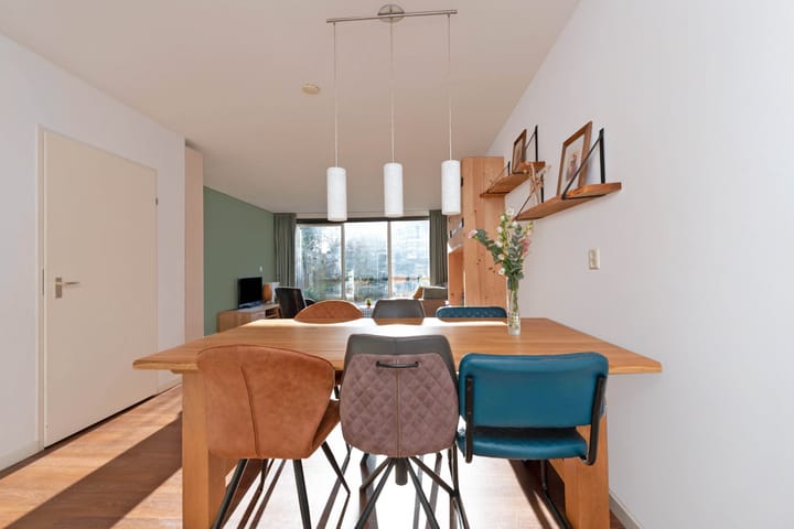 Foto 7 van Atlasvlinder 100